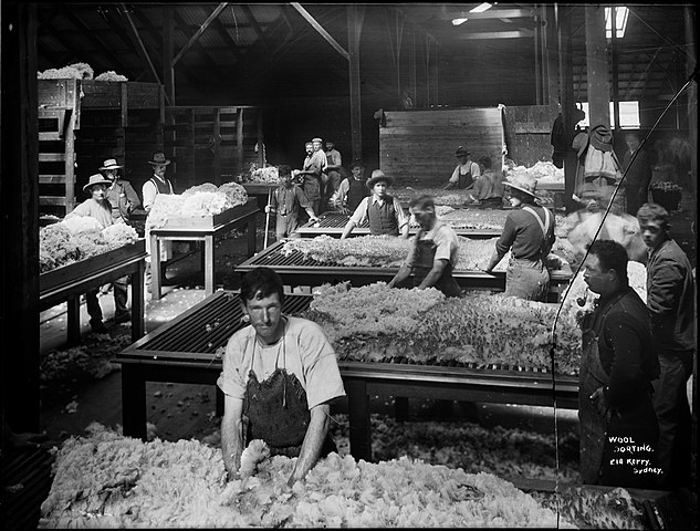 Wool Sorting