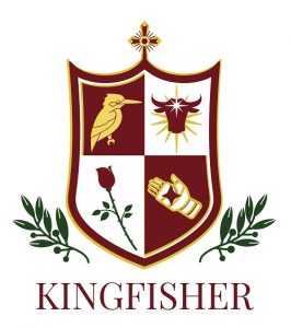 Kingfisher Shield 500